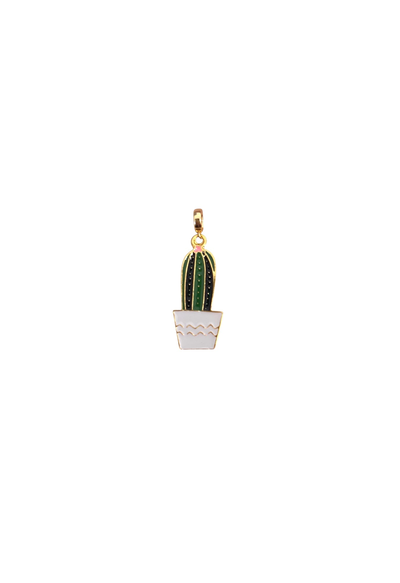 Cactus Charm