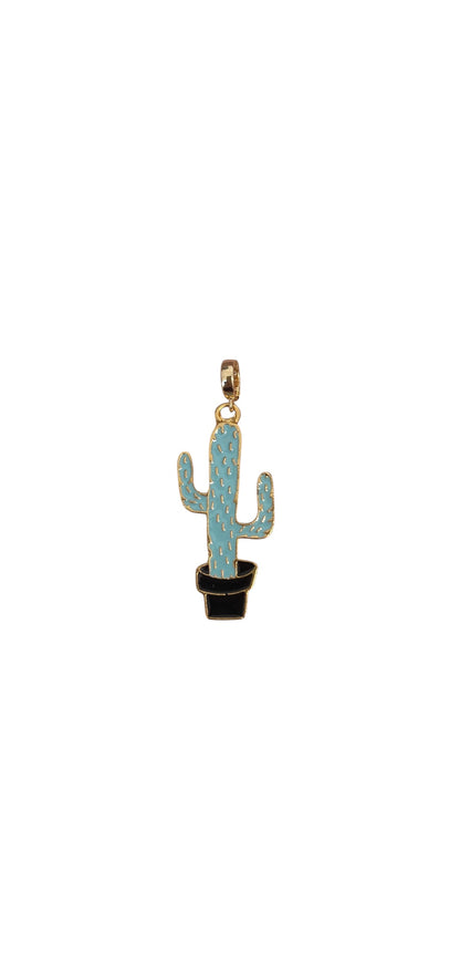 Cactus Charm
